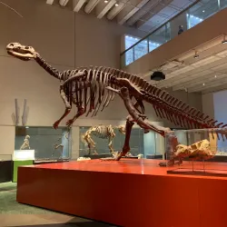 Queensland Museum and Sciencentre - Brisbane