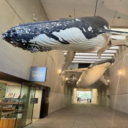 Queensland Museum and Sciencentre - Brisbane