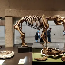 Queensland Museum and Sciencentre - Brisbane