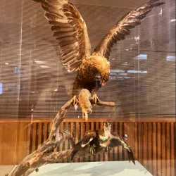 Queensland Museum and Sciencentre - Brisbane