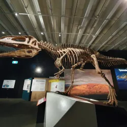 Queensland Museum and Sciencentre - Brisbane