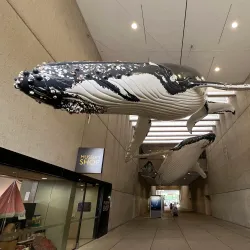 Queensland Museum and Sciencentre - Brisbane