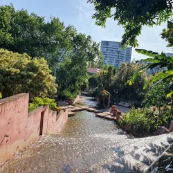 Roma Street Parkland - Brisbane