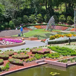 Roma Street Parkland - Brisbane