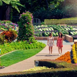 Roma Street Parkland - Brisbane