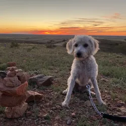 Mundi Mundi Plains - Broken Hill