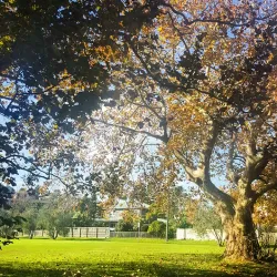 Brookvale Public Golf Course - Brookvale