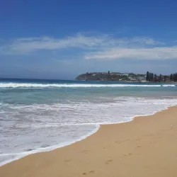 Brookvale Public Golf Course - Brookvale