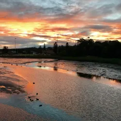 Curl Curl Lagoon - Brookvale