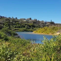 Curl Curl Lagoon - Brookvale