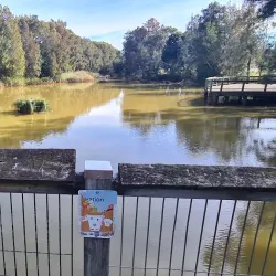 Curl Curl Lagoon - Brookvale
