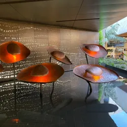 Harbord Diggers Club - Brookvale