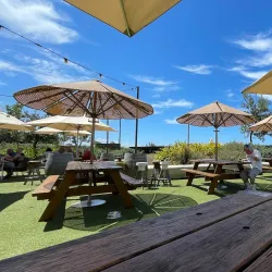 Harbord Diggers Club - Brookvale