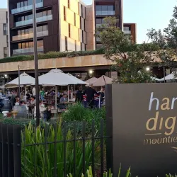 Harbord Diggers Club - Brookvale