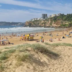 Harbord Diggers Club - Brookvale