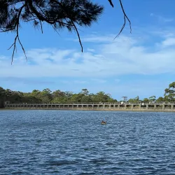 Manly Dam Reserve - Brookvale