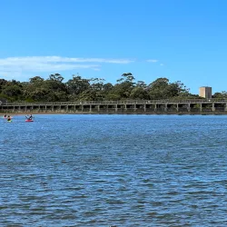 Manly Dam Reserve - Brookvale
