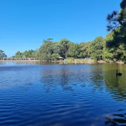 Manly Warringah War Memorial Park - Brookvale
