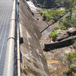 Manly Warringah War Memorial Park - Brookvale