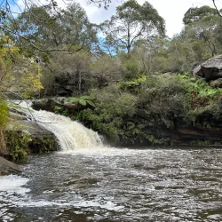 Manly Warringah War Memorial Park - Brookvale