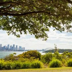 Nielsen Park - Brookvale