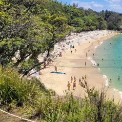 Nielsen Park - Brookvale