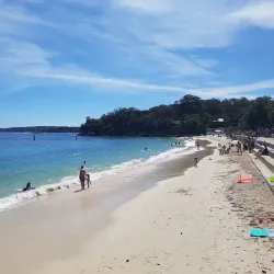 Nielsen Park - Brookvale