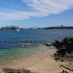 Nielsen Park - Brookvale