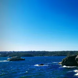 Nielsen Park - Brookvale