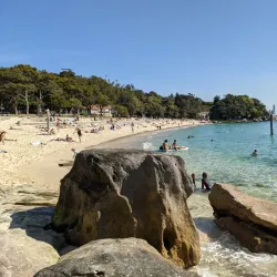 Nielsen Park - Brookvale