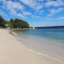 Nielsen Park - Brookvale