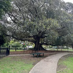 North Harbour Reserve - Brookvale