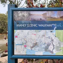 North Harbour Reserve - Brookvale