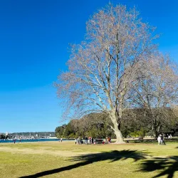 North Harbour Reserve - Brookvale