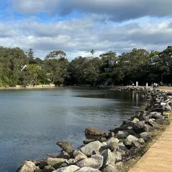 North Harbour Reserve - Brookvale