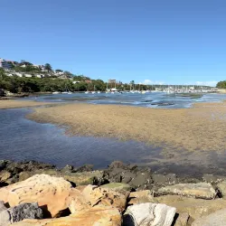 North Harbour Reserve - Brookvale