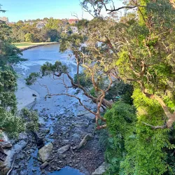 North Harbour Reserve - Brookvale