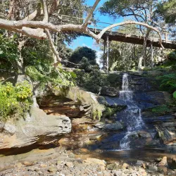 North Harbour Reserve - Brookvale