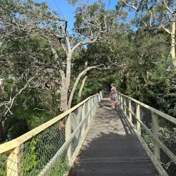 North Harbour Reserve - Brookvale