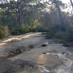 Warringah Aquatic Centre - Brookvale