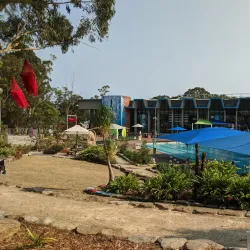Warringah Aquatic Centre - Brookvale