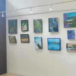 Buderim Craft Cottage - Buderim