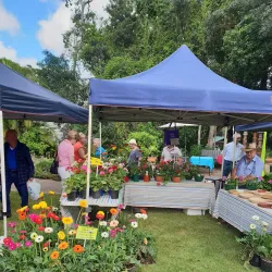 Buderim Craft Cottage - Buderim