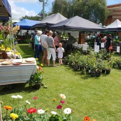 Buderim Craft Cottage - Buderim