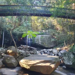 Buderim Forest Park - Buderim