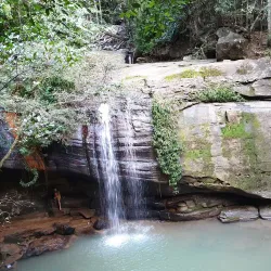 Buderim Forest Park - Buderim