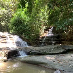 Buderim Forest Walks - Buderim