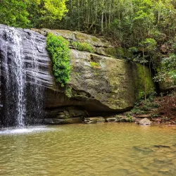 Buderim Forest Walks - Buderim