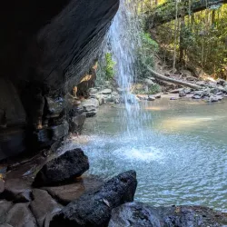 Buderim Forest Walks - Buderim