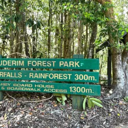 Buderim Forest Walks - Buderim